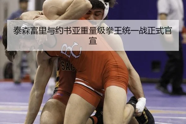 泰森富里与约书亚重量级拳王统一战正式官宣